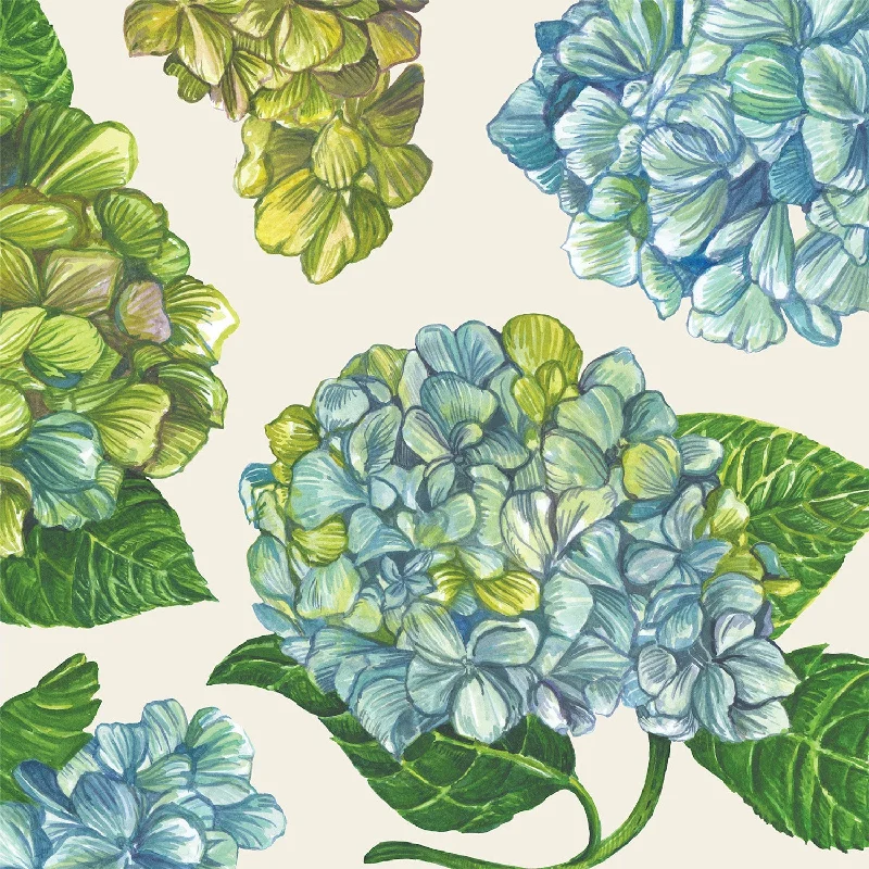 HYDRANGEA